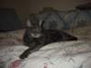 Photo Number 4