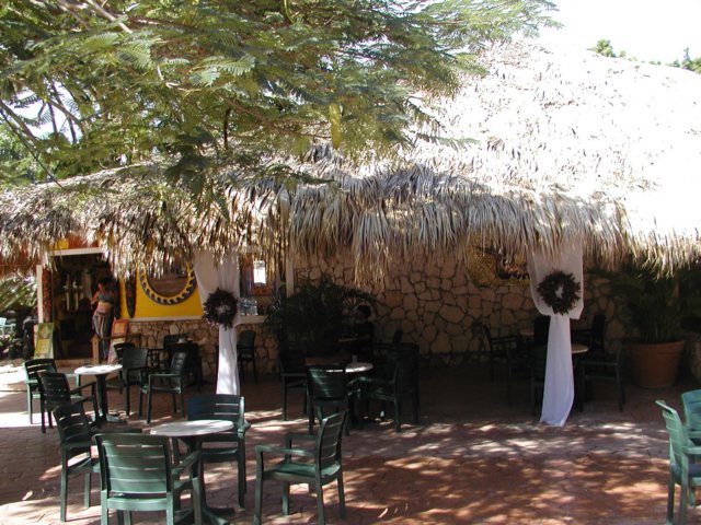 pc060009.jpg
