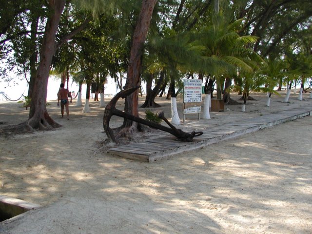 p4180050.jpg