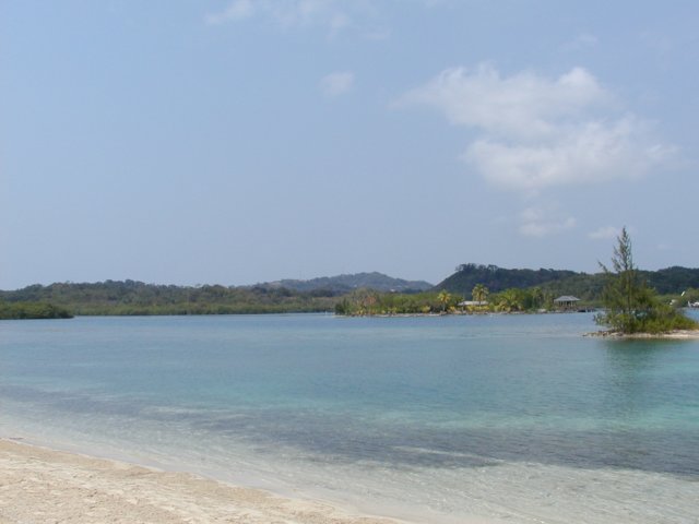 p4180084.jpg