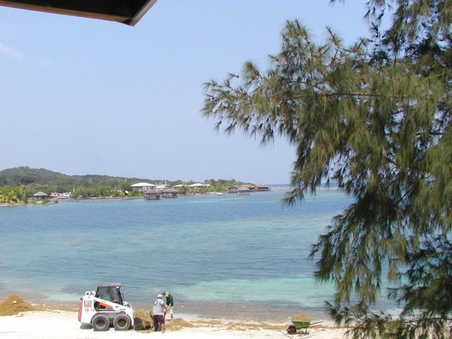 p4180097.jpg