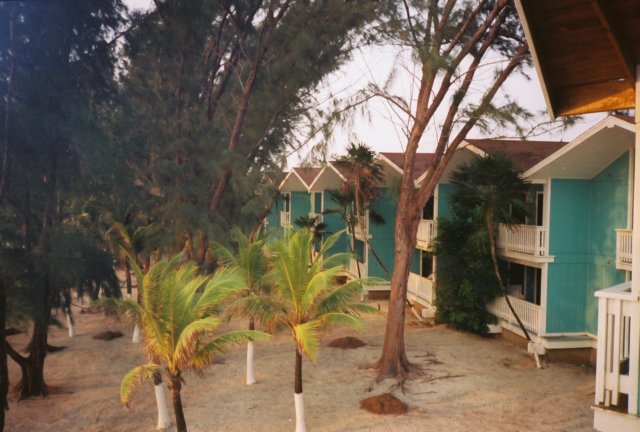 r10322_165.jpg