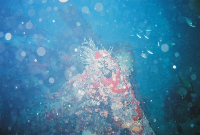 Photograph